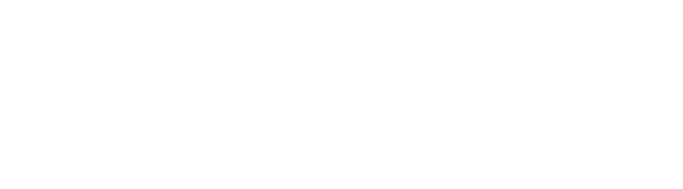 CenuMednieks.lv logo
